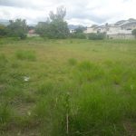 Kingsway1