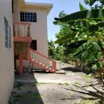 -lot 60 backyard